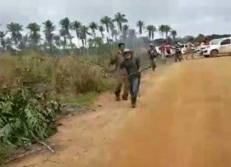 Após reintegração, terreno da Veracel Celulose em Eunápolis volta a ser ocupado por grupo; veja vídeo