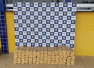 Feira de Santana: casal é preso em ônibus com 100 kg de maconha