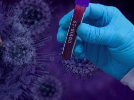 Coronavírus: Bahia tem 533 novos infectados e 891 pacientes recuperados nas últimas 24 horas