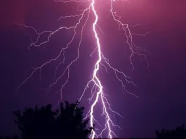 Brejões: Queda de raio provoca incêndio em pastagem