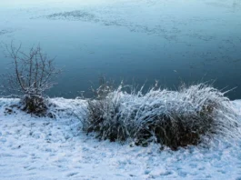 Terras descongeladas podem emitir gases que matarão a humanidade