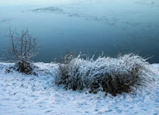 Terras descongeladas podem emitir gases que matarão a humanidade