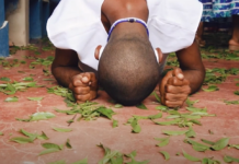 TVE exibe série ‘Encanto das Folhas: Patrimônio Sagrado do Recôncavo’