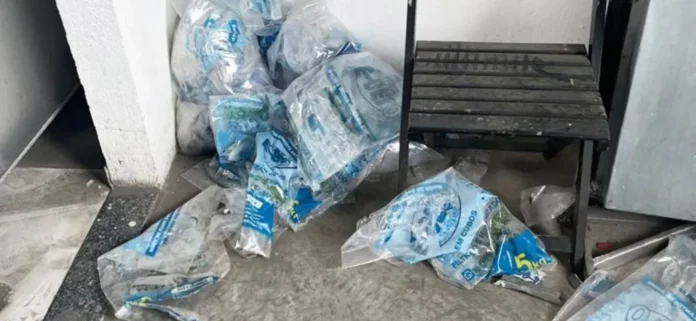 Fabrica-de-gelo-na-Bahia-e-interditada-por-produto0137192500202512110750-ScaleDownProportional