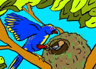 COP30: Soluções para uma construção mais sustentável