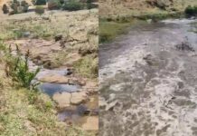 Vídeo mostra água surgindo em rio que estava completamente seco em Amargosa
