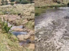 Vídeo mostra água surgindo em rio que estava completamente seco em Amargosa