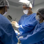 A Bahia dos transplantes