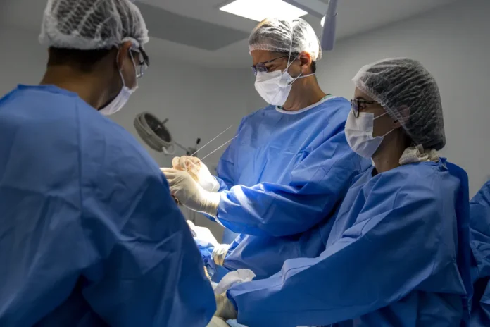 a-bahia-dos-transplantes0137709700202601222219-ScaleDownProportional