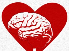 A família como casa da saúde mental