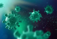 Três vírus podem desencadear novas crises em 2026; saiba quais