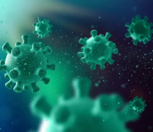 Três vírus podem desencadear novas crises em 2026; saiba quais