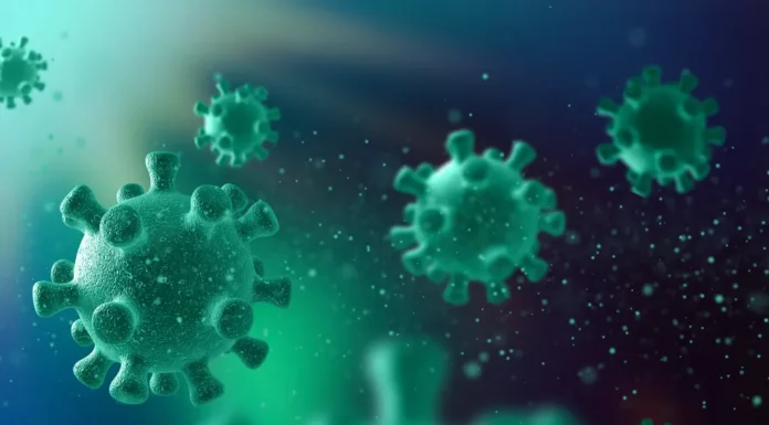 Três vírus podem desencadear novas crises em 2026; saiba quais