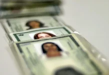 CPF Único: o guia definitivo para não pagar pela nova identidade