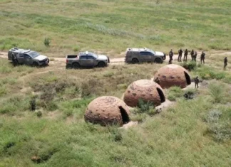 32 toneladas de carvão e 75 metros cúbicos de madeira nativa são apreendidos na Bahia