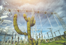 Governo convoca Neoenergia para renovar concessão da Coelba por mais 30 anos