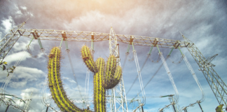 Governo convoca Neoenergia para renovar concessão da Coelba por mais 30 anos