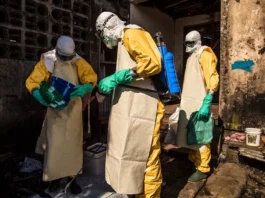 Brasil toma ação decisiva diante de novo surto de ebola na África
