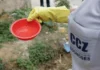Casos de dengue e chikungunya crescem e reforçam alerta para prevenção