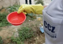 Casos de dengue e chikungunya crescem e reforçam alerta para prevenção