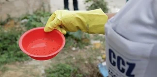 Casos de dengue e chikungunya crescem e reforçam alerta para prevenção