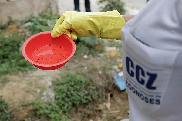 casos-de-dengue-aumentam-na-bahia-1580873-article