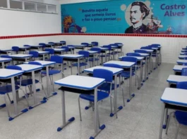 Precatórios: saiba quanto cada professor vai receber após aprovação de abono