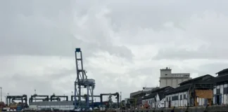 Pinguim é resgatado em área portuária de praia do Comércio