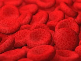 Brasil terá primeiro medicamento para anemia hemolítica autoimune por anticorpos quentes