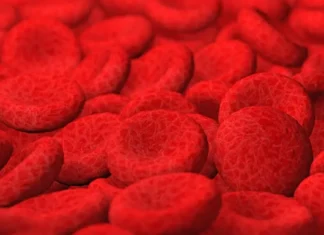 Brasil terá primeiro medicamento para anemia hemolítica autoimune por anticorpos quentes