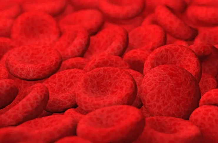 Brasil terá primeiro medicamento para anemia hemolítica autoimune por anticorpos quentes