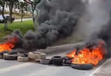 Produtores de cacau bloqueiam trecho da BR-101 durante protesto no sul da Bahia