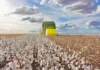 El Niño e mais: como fenômenos climáticos podem impactar nas safras