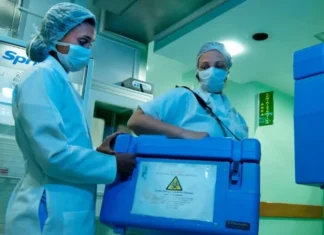 Brasil registra em torno de 45% de recusa familiar para doação de órgãos
