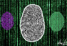 Quando a inteligência artificial aprender o nosso trabalho … quem reconstruirá quem somos?