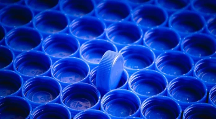 Microplásticos podem gerar moléculas capazes de prejudicar células e tecidos quando produzidas em excesso