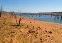 Estiagem severa: seca atinge 96% do território baiano e bate recorde do ano