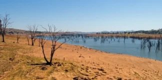 Estiagem severa: seca atinge 96% do território baiano e bate recorde do ano