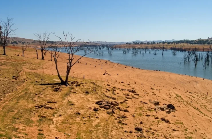 Estiagem severa: seca atinge 96% do território baiano e bate recorde do ano